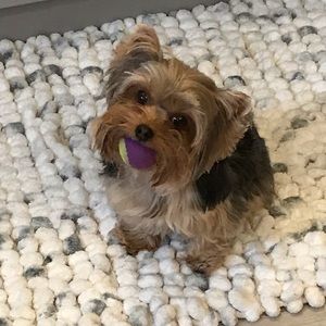 Meet your Posher, Cherish